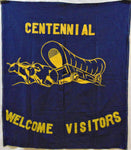 Vintage Welcome Visitors Flag