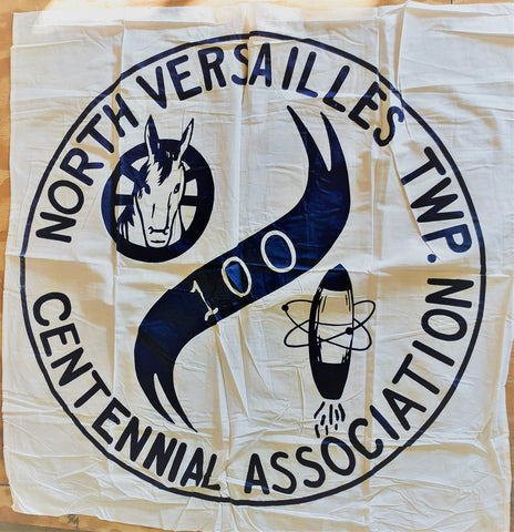 Vintage North Versailles Township Flag